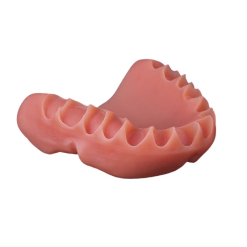 FotoDent® denture 385 nm